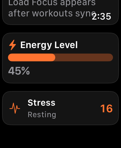 Runbo on Apple Watch: Energy Level & Live Stress.